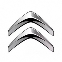 (駕考駕培)新愛麗舍檔位轉向角示寬后霧燈喇叭信息采集